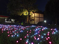 雀神社