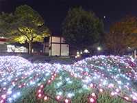 雀神社01